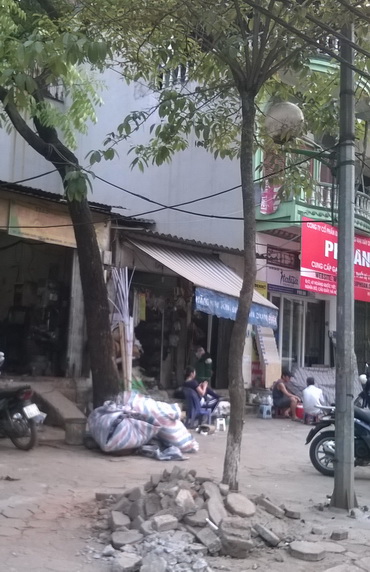 Cây xanh Hà Nội bị lạm dụng đủ kiểu ảnh 8